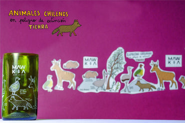 Set de 3 vasos Animales Chilenos en Peligro de Extinción - (450 cc c/u) - Mawka