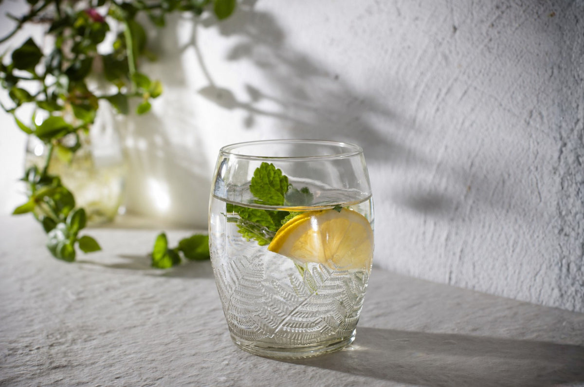 Salar - Set de 4 vasos (220cc C/U)