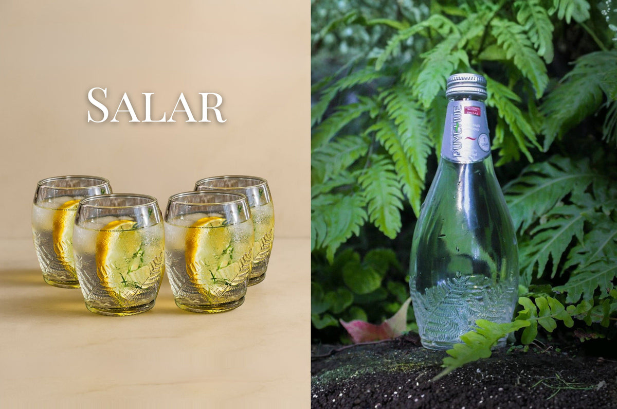 Salar - Set de 4 vasos (220cc C/U)